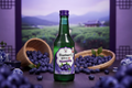 Mr. Gordito Soju Blueberry